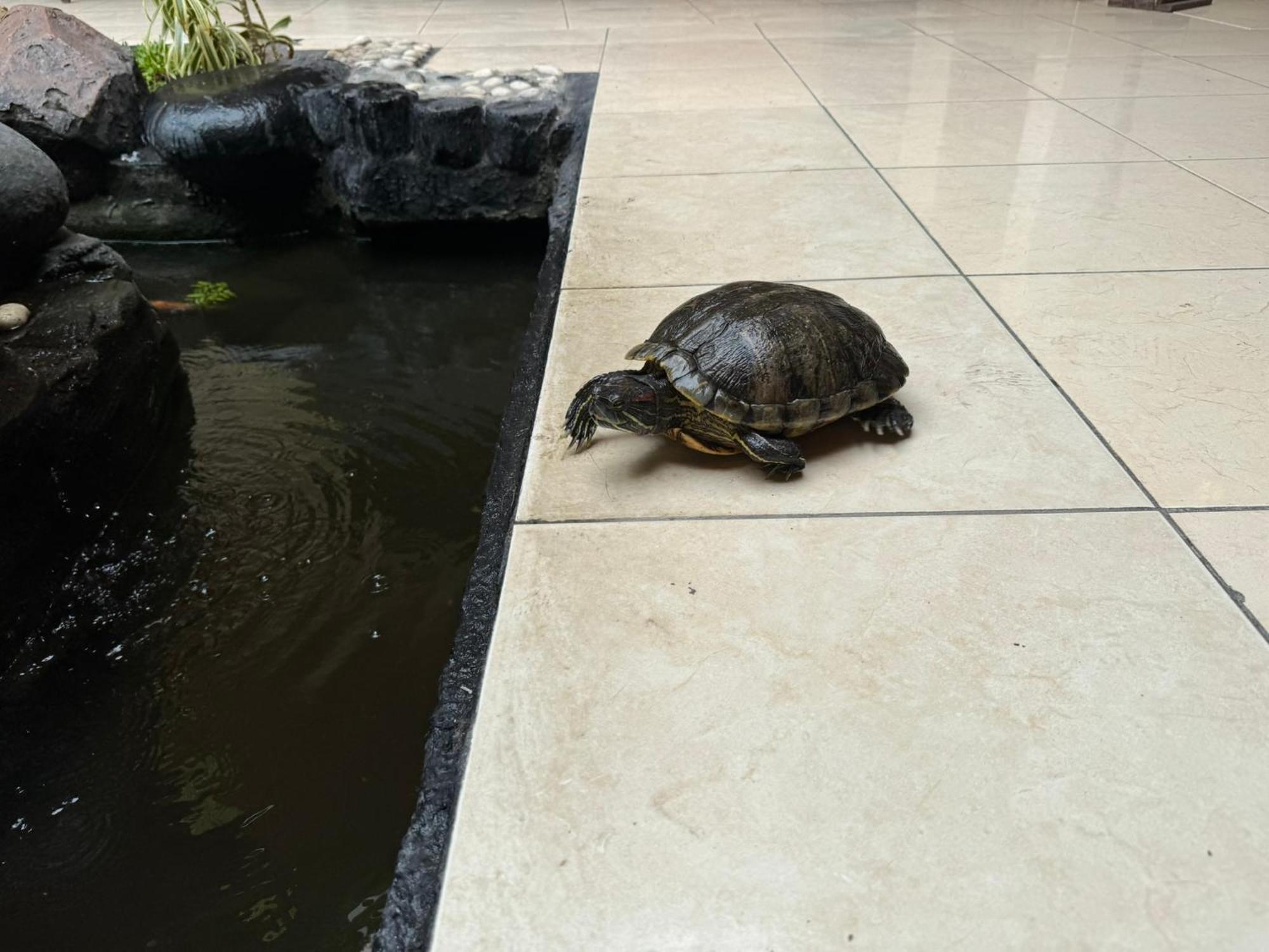 Hotel Priangan Cirebon Esterno foto